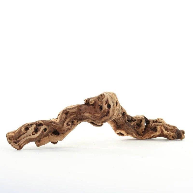 Natural Grapewood, Grape Wood Vine Branch: Small