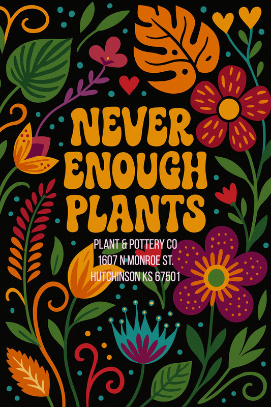 Welcome To Plant & Pottery Co!