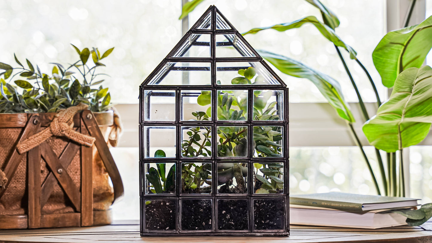 Glass Terrarium Lattice, Large, 8x8x12"