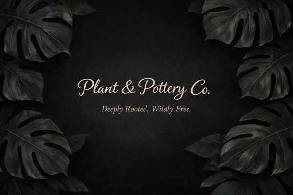 Plant & Pottery Co