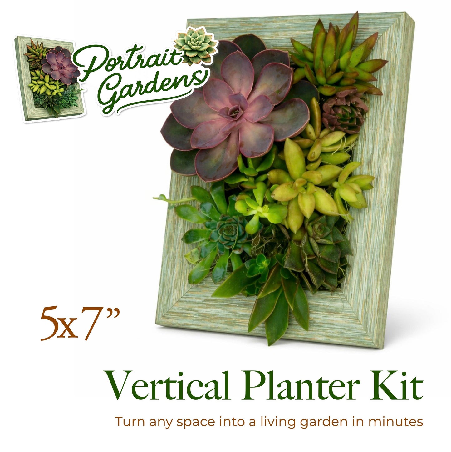 5x7 Vertical Planter Kit | Portrait Gardens: Box of 5