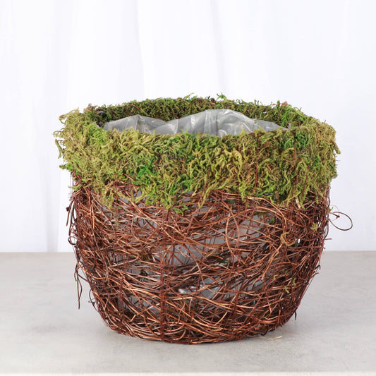 6" Decorative Mossy Pot Cover or Planter for Plants