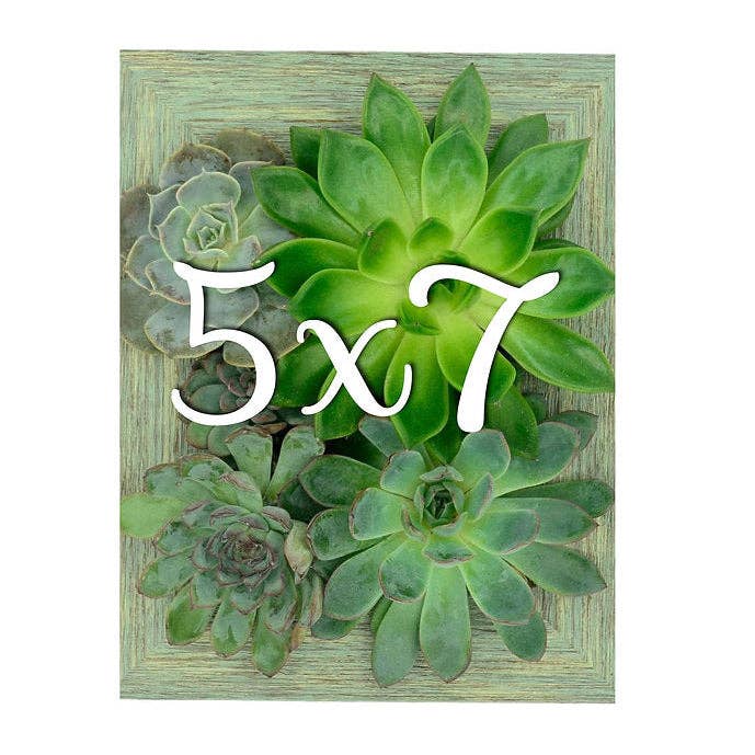 5x7 Vertical Planter Kit | Portrait Gardens: Box of 5