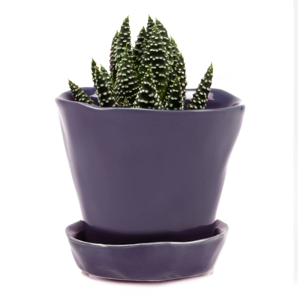 Tika Ceramic Pots and Planters With Saucer And Drainage Hole: Spruce / 5"