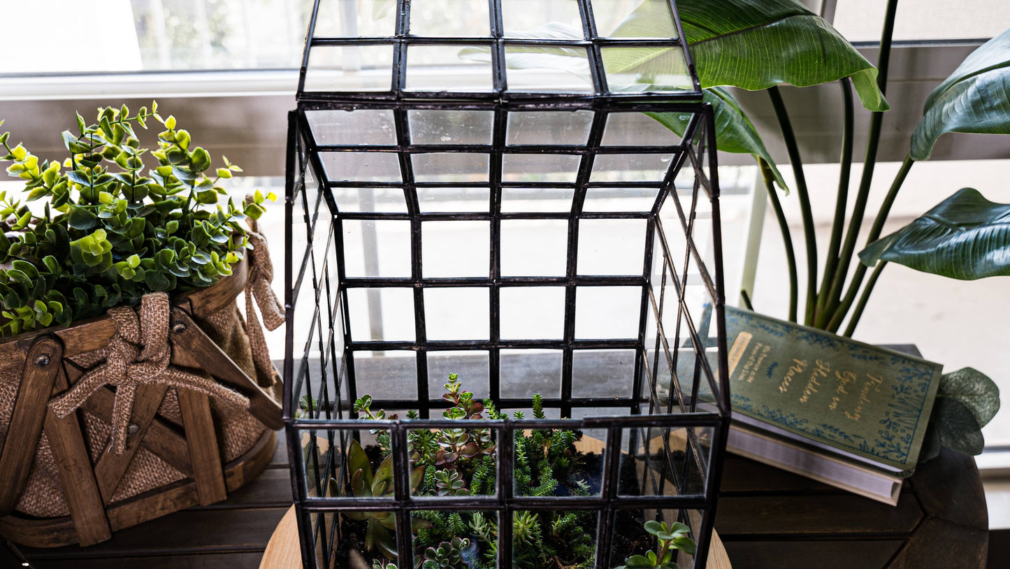 Glass Terrarium Lattice, Large, 8x8x12"