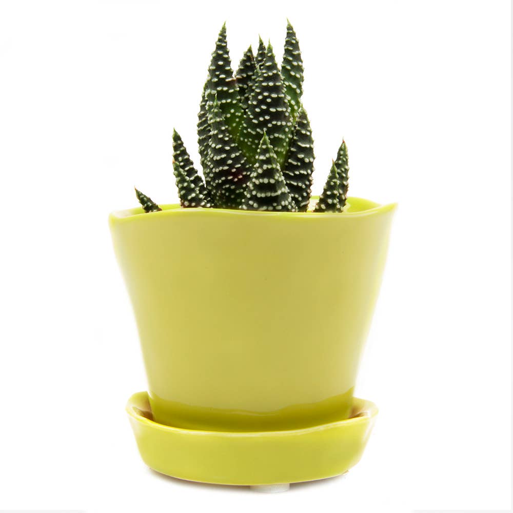 Tika Ceramic Pots and Planters With Saucer And Drainage Hole: Spruce / 5"