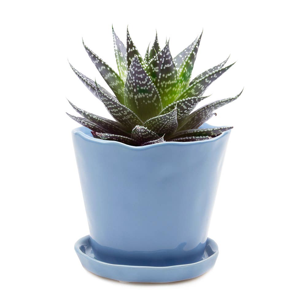 Tika Ceramic Pots and Planters With Saucer And Drainage Hole: Spruce / 5"