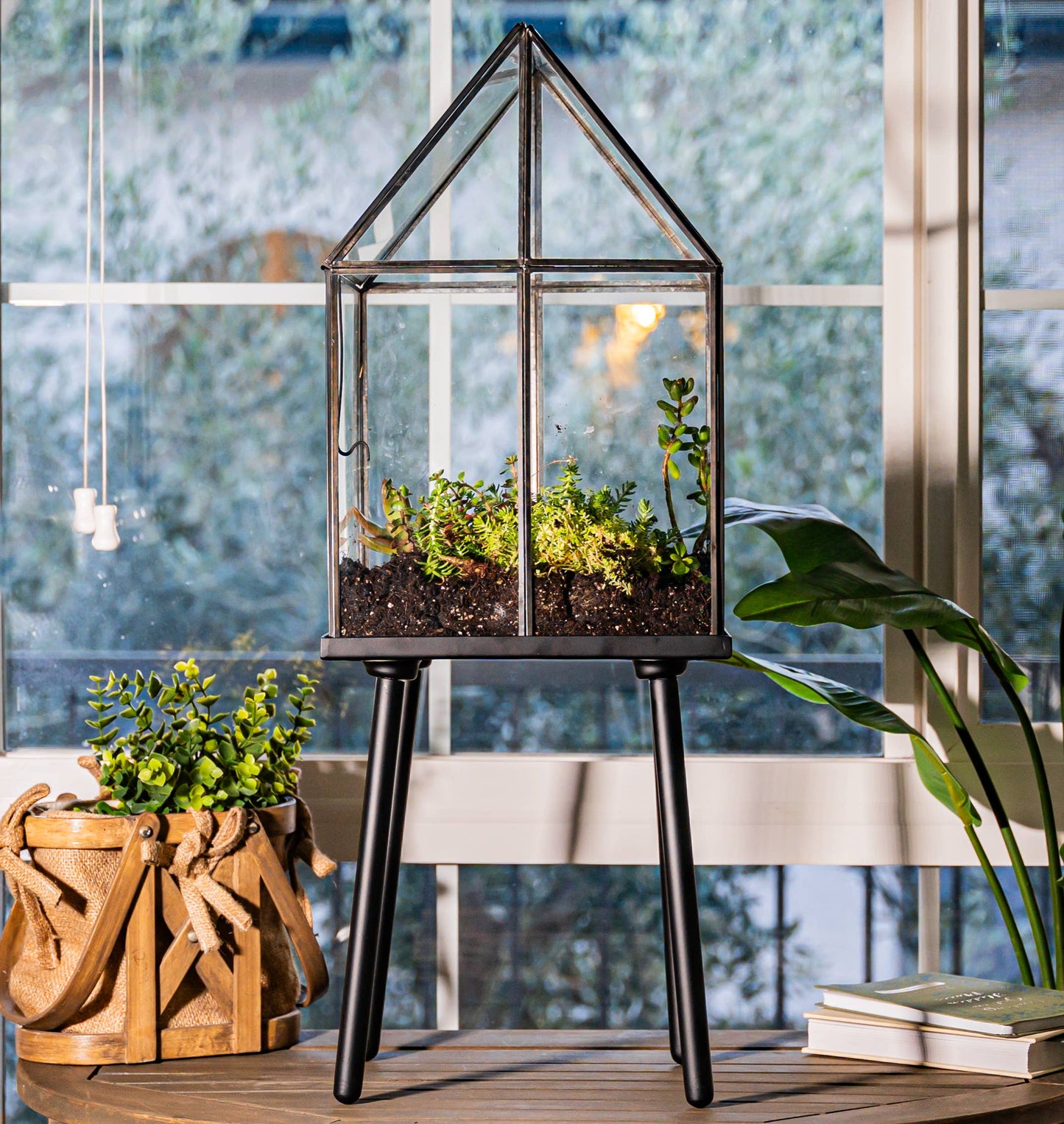 Oversized Greenhouse Terrarium, Bronze Glass Display Case