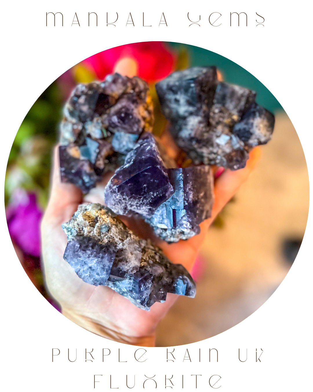 Rare Purple Rain Pocket Fluorite Clusters, Lady Annanella Mine, CLOSED Mine!, Daylight Fluorescent: 125-149 grams