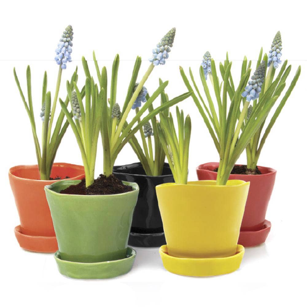 Tika Ceramic Pots and Planters With Saucer And Drainage Hole: Spruce / 5"