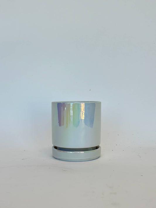 4.5" Iridescent Cylinder Pots with Water Saucers: White Pearl