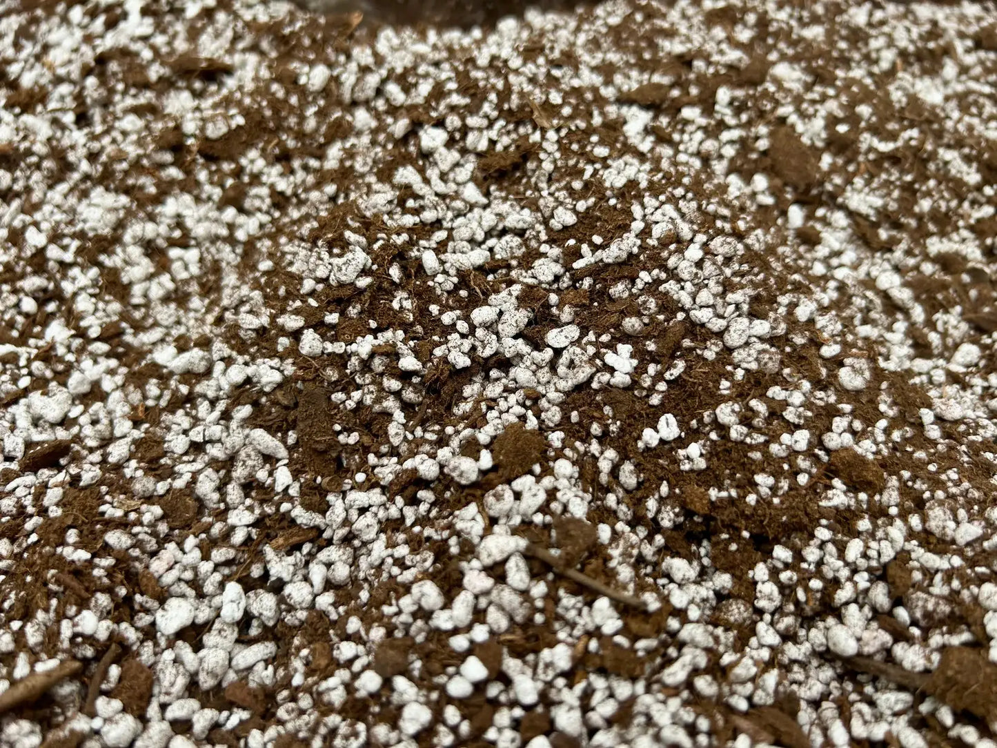 Carnivorous Plant Soil