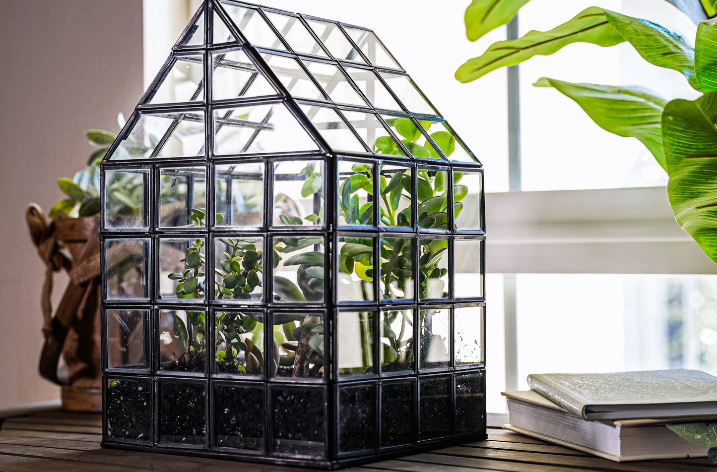 Glass Terrarium Lattice, Large, 8x8x12"