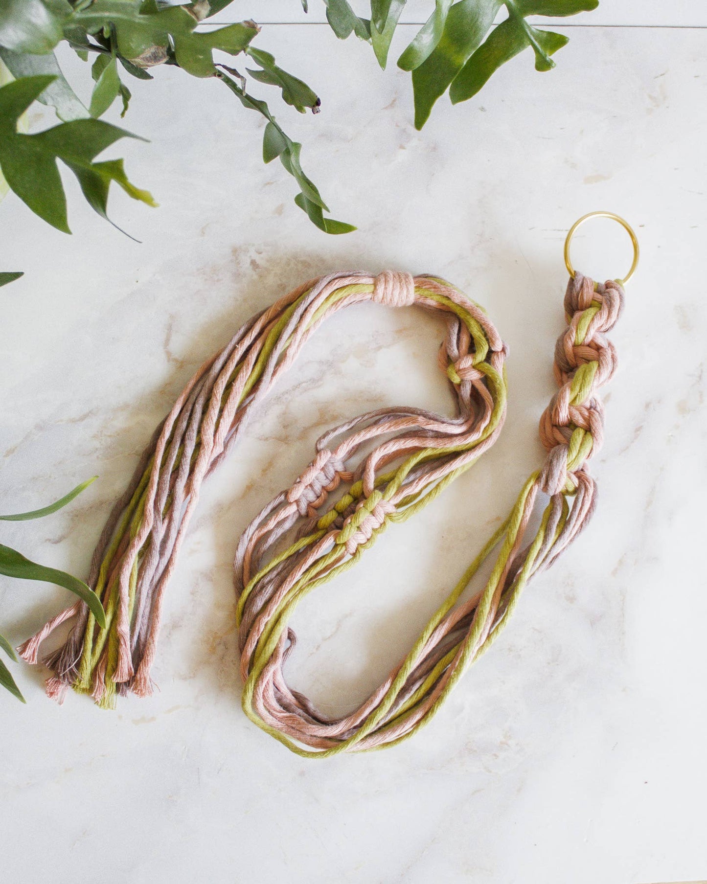 Chunky Twist Plant Hanger - Multicolor: Deep Green