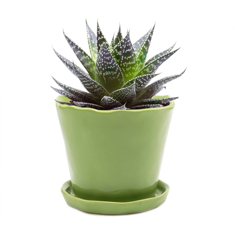 Tika Ceramic Pots and Planters With Saucer And Drainage Hole: Spruce / 5"