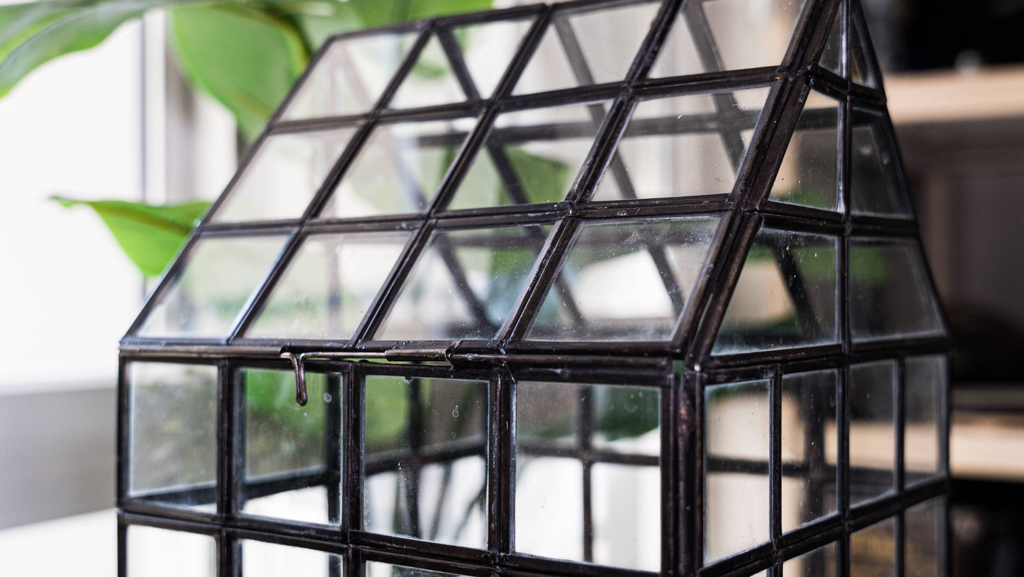 Glass Terrarium Lattice, Large, 8x8x12"