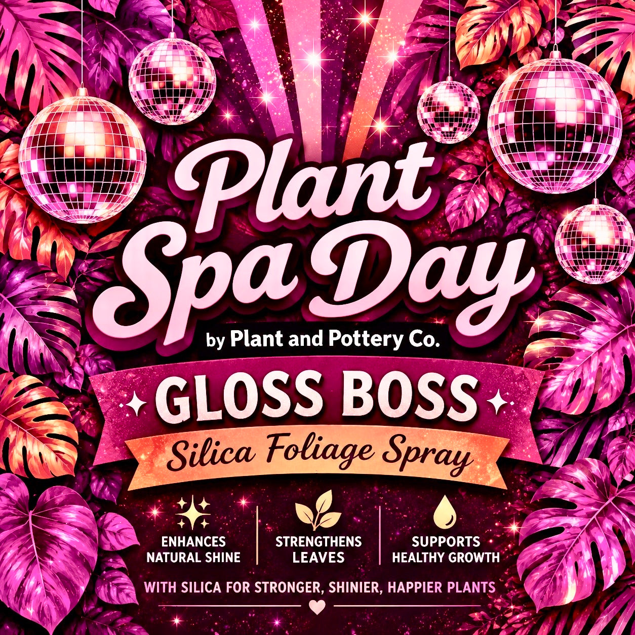 PRESALE FLASH Philodendron Florida Beauty X Mayoi