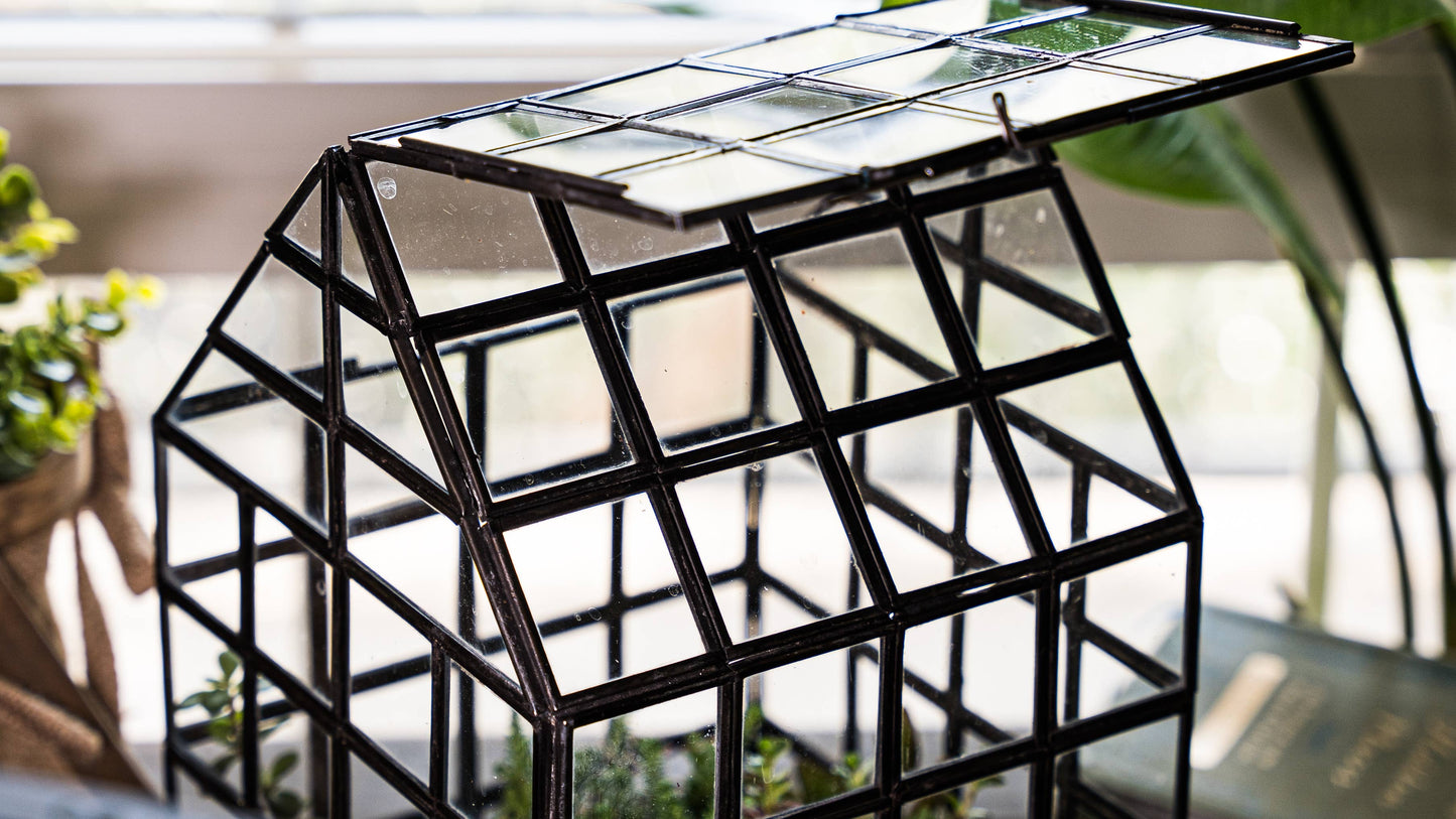 Glass Terrarium Lattice, Large, 8x8x12"