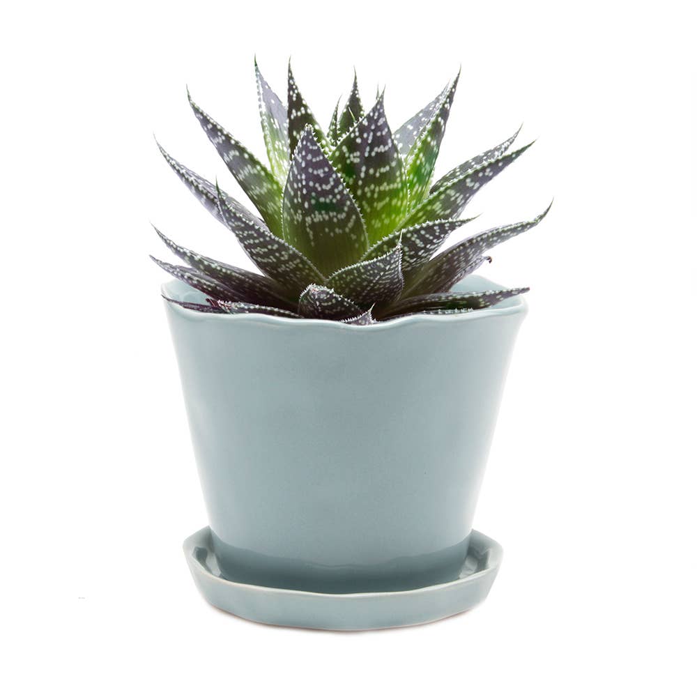 Tika Ceramic Pots and Planters With Saucer And Drainage Hole: Spruce / 5"