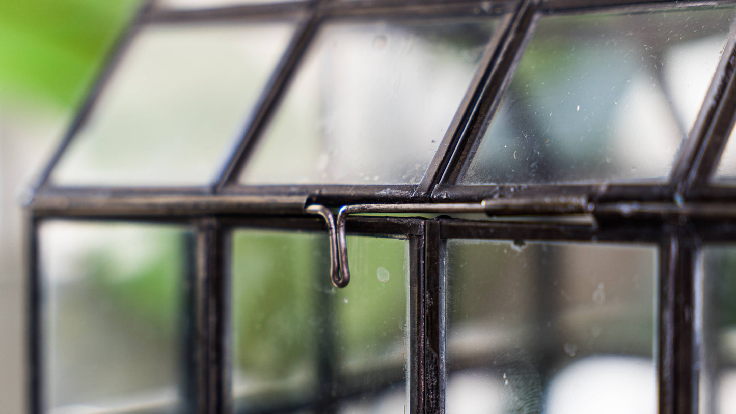 Glass Terrarium Lattice, Large, 8x8x12"