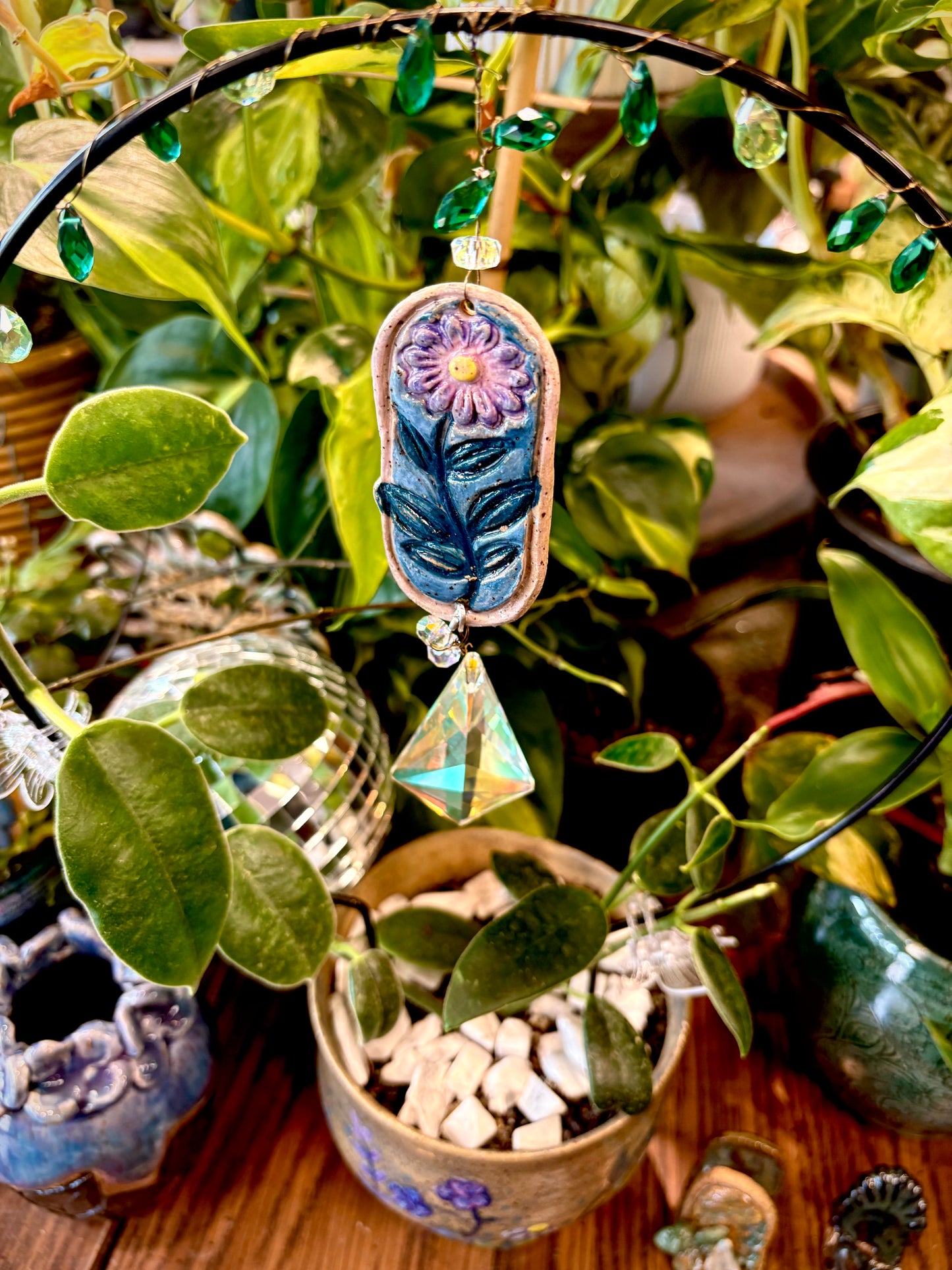 Mary’s HOYA OBSESSED FIND! With Pottery and jeweled trellis. Hoya Cv. Monette