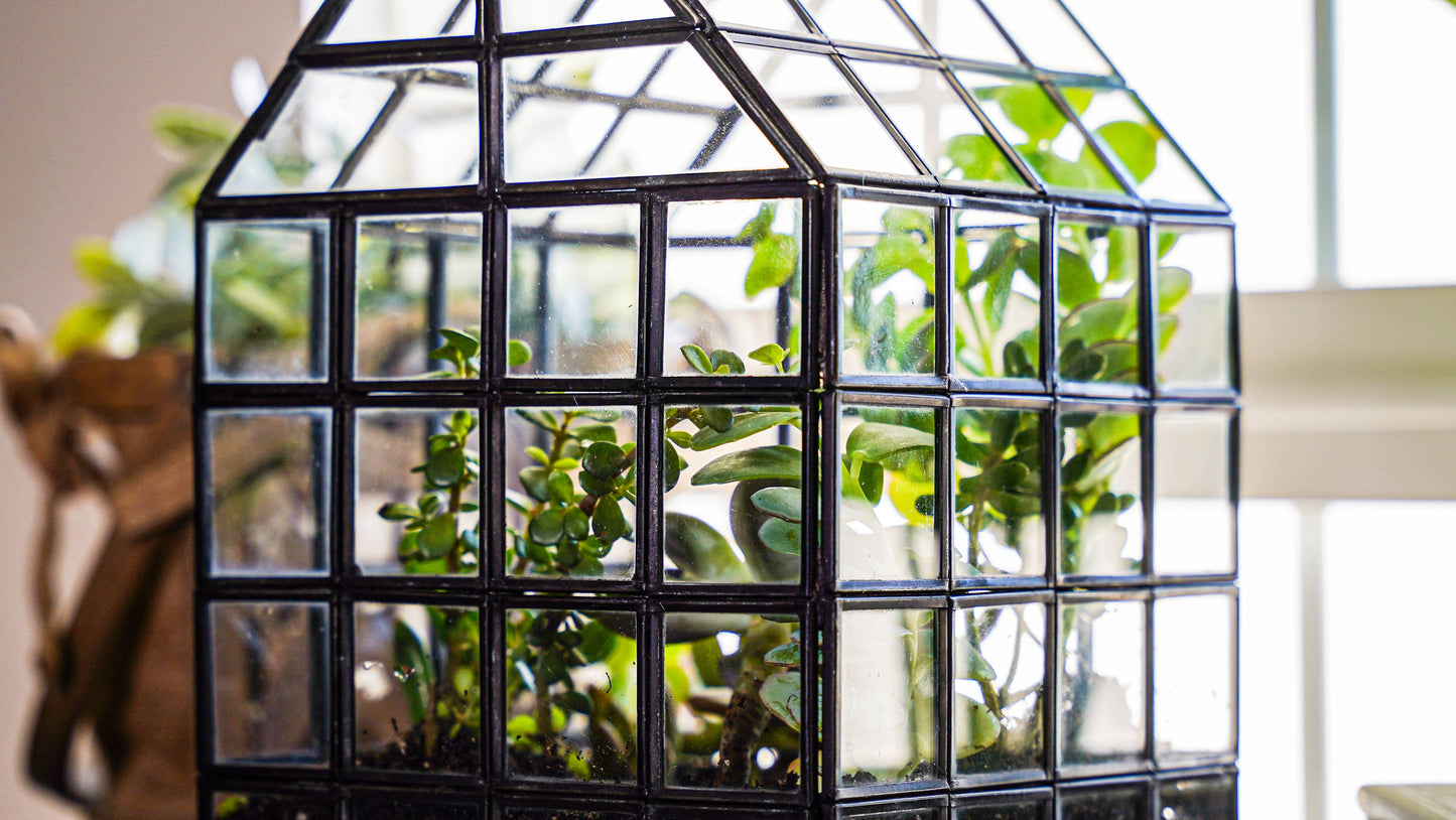 Glass Terrarium Lattice, Large, 8x8x12"