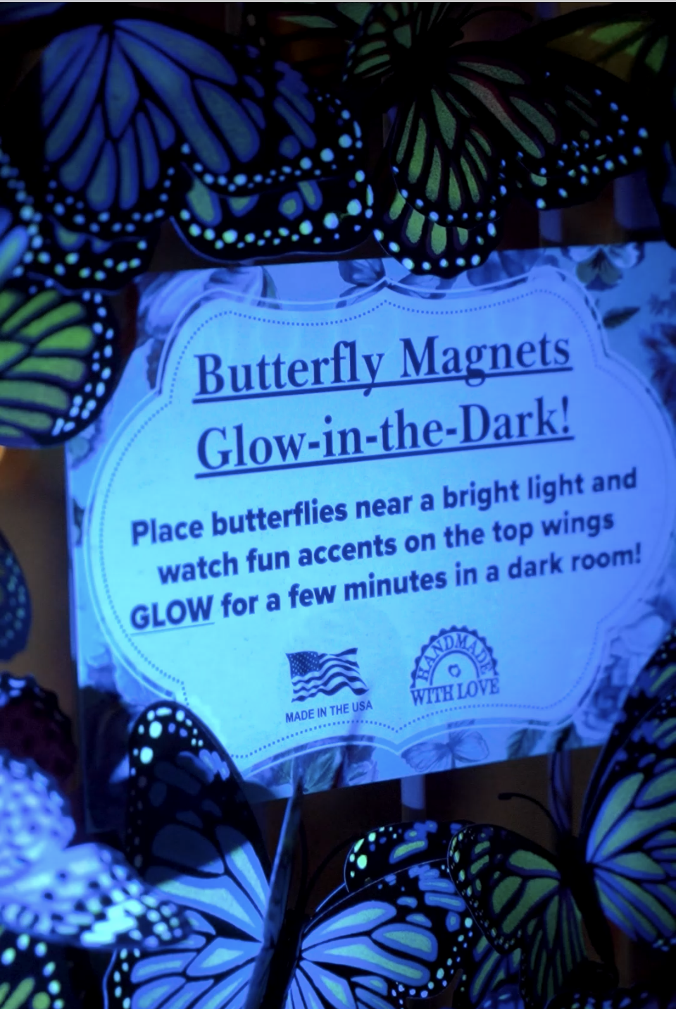 Butterfly Magnet