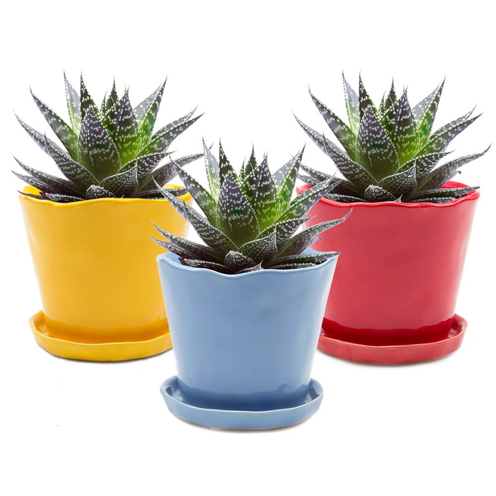 Tika Ceramic Pots and Planters With Saucer And Drainage Hole: Spruce / 5"