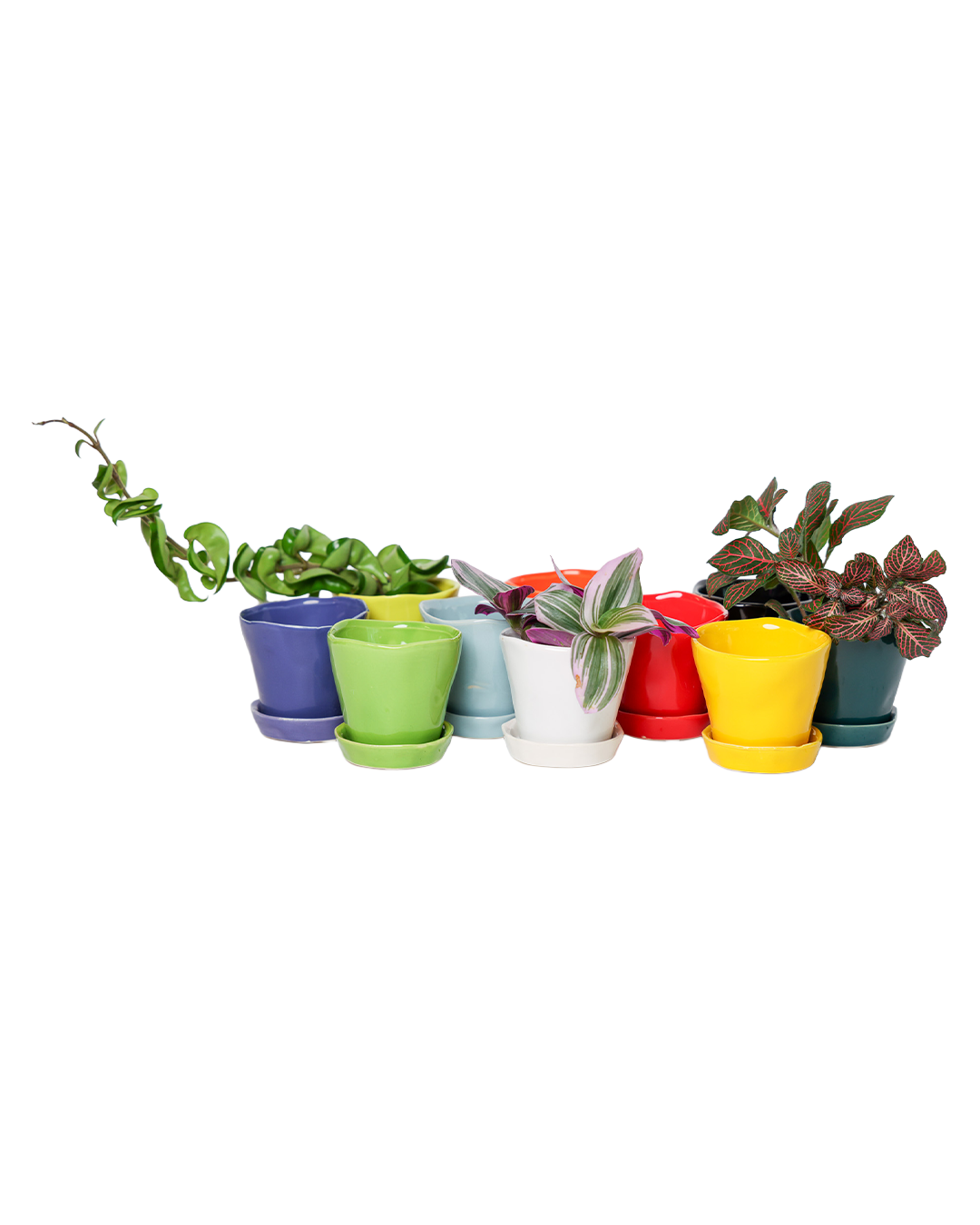 Tika Ceramic Pots and Planters With Saucer And Drainage Hole: Spruce / 5"