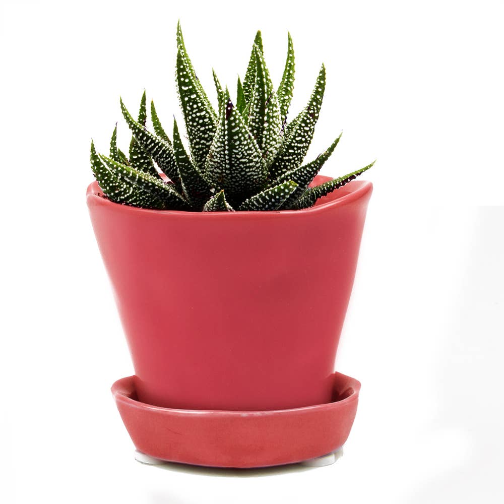 Tika Ceramic Pots and Planters With Saucer And Drainage Hole: Spruce / 5"