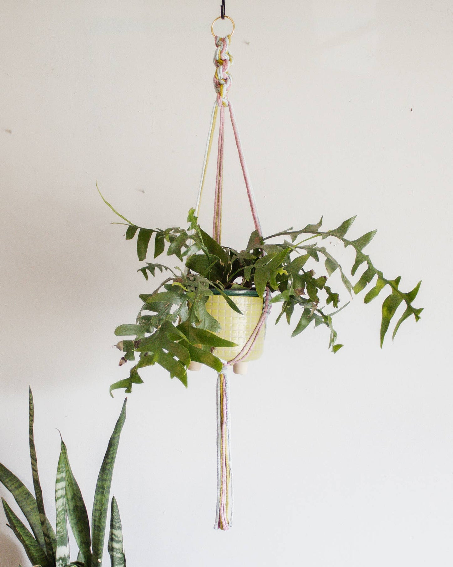 Chunky Twist Plant Hanger - Multicolor: Deep Green