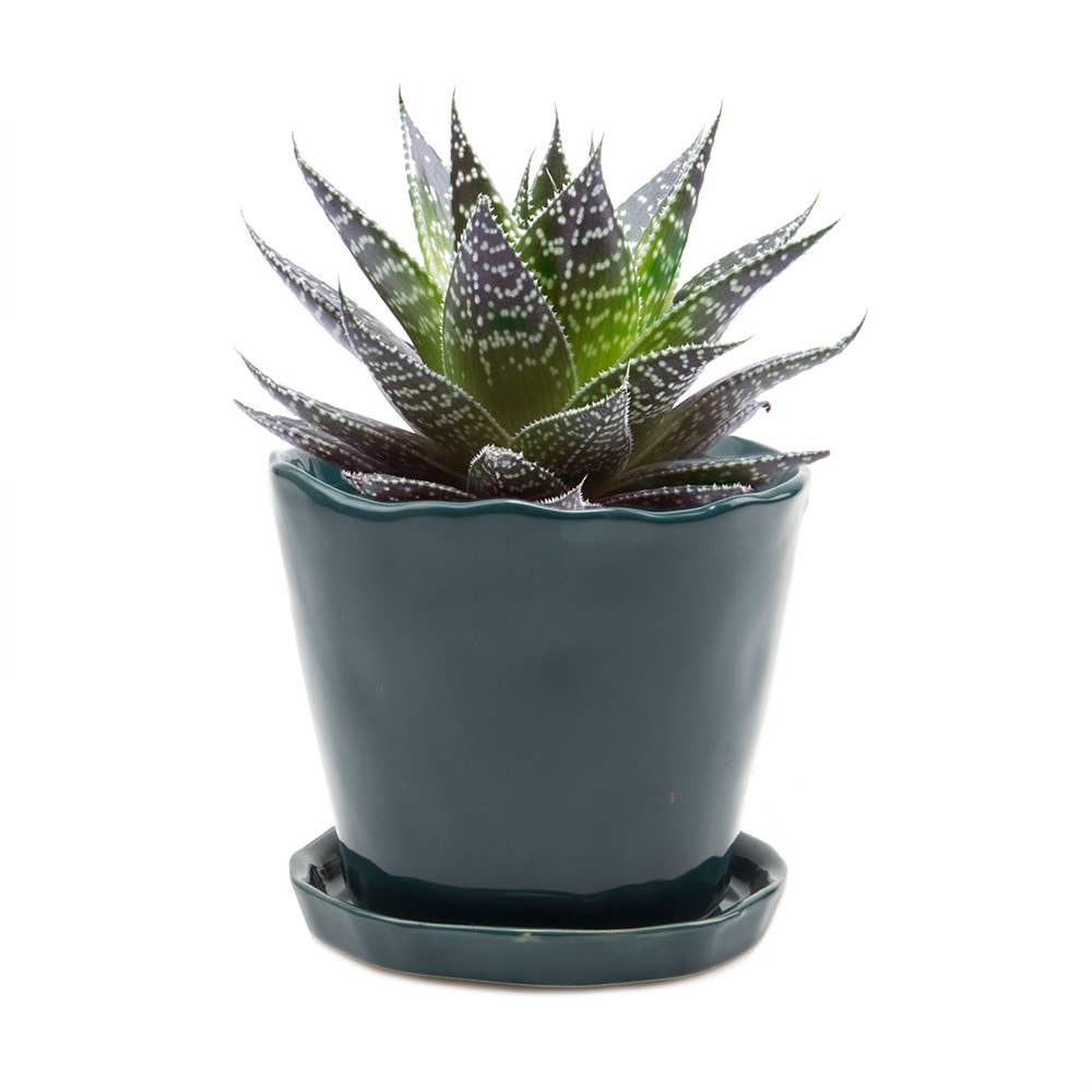 Tika Ceramic Pots and Planters With Saucer And Drainage Hole: Spruce / 5"