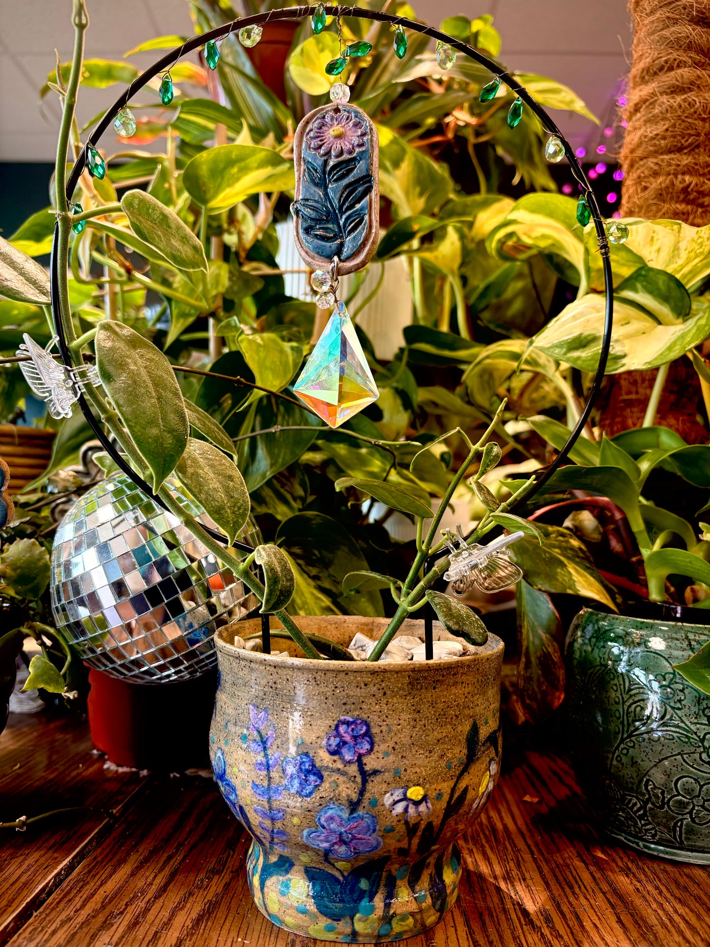 Mary’s HOYA OBSESSED FIND! With Pottery and jeweled trellis. Hoya Cv. Monette