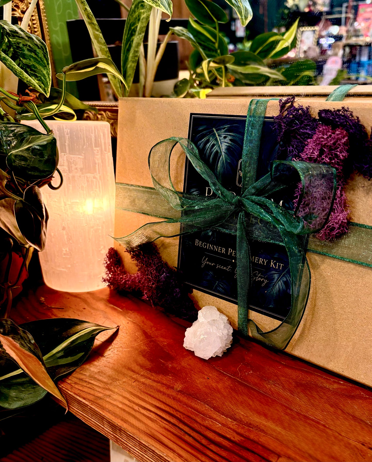 Parfum Apotheca by Plant & Pottery Co. Beginner Perfumery kit.