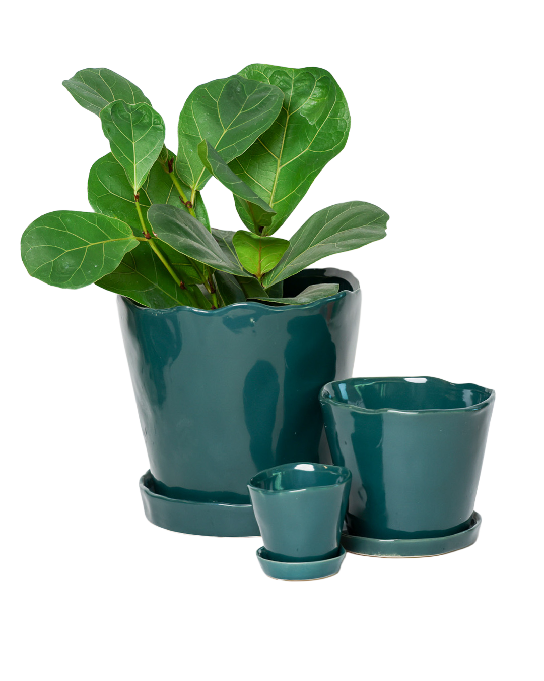Tika Ceramic Pots and Planters With Saucer And Drainage Hole: Spruce / 5"