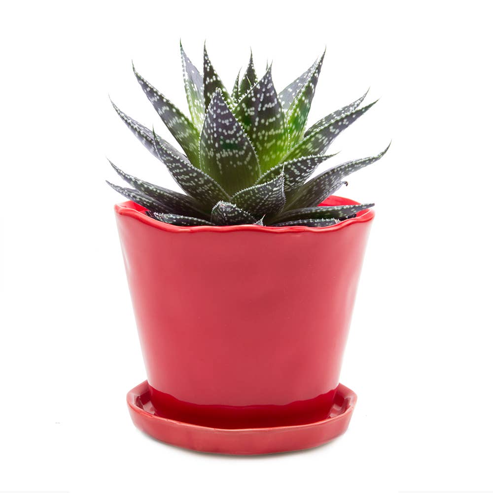 Tika Ceramic Pots and Planters With Saucer And Drainage Hole: Spruce / 5"