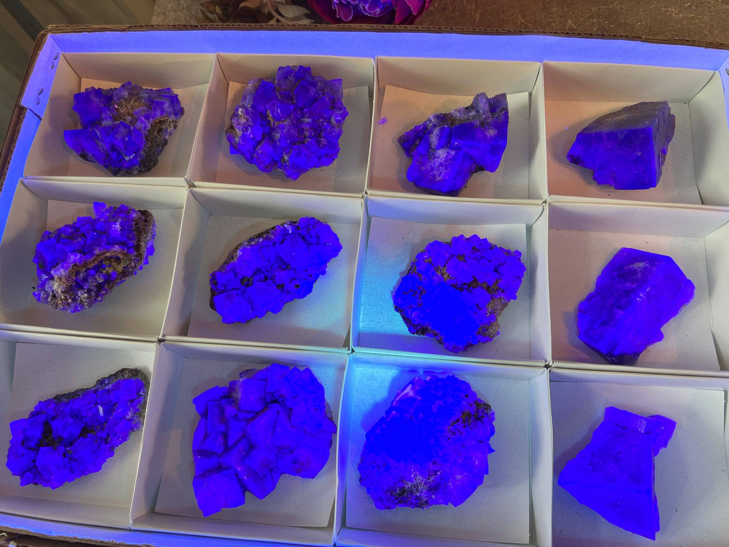 Rare Purple Rain Pocket Fluorite Clusters, Lady Annanella Mine, CLOSED Mine!, Daylight Fluorescent: 125-149 grams