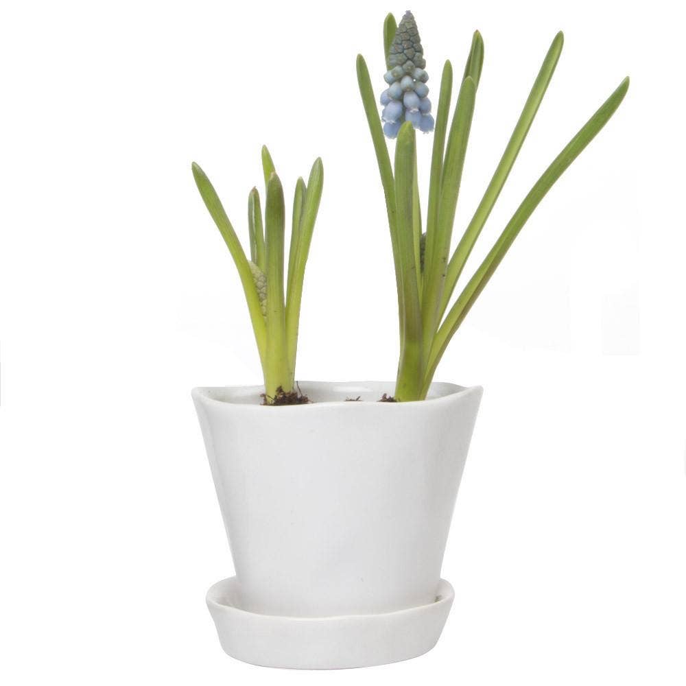 Tika Ceramic Pots and Planters With Saucer And Drainage Hole: Spruce / 5"