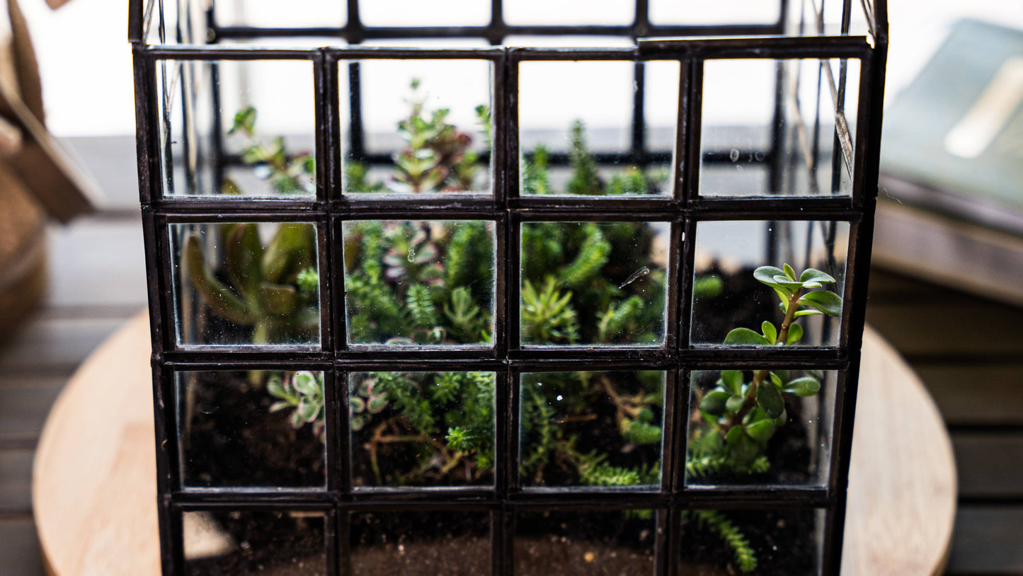 Glass Terrarium Lattice, Large, 8x8x12"