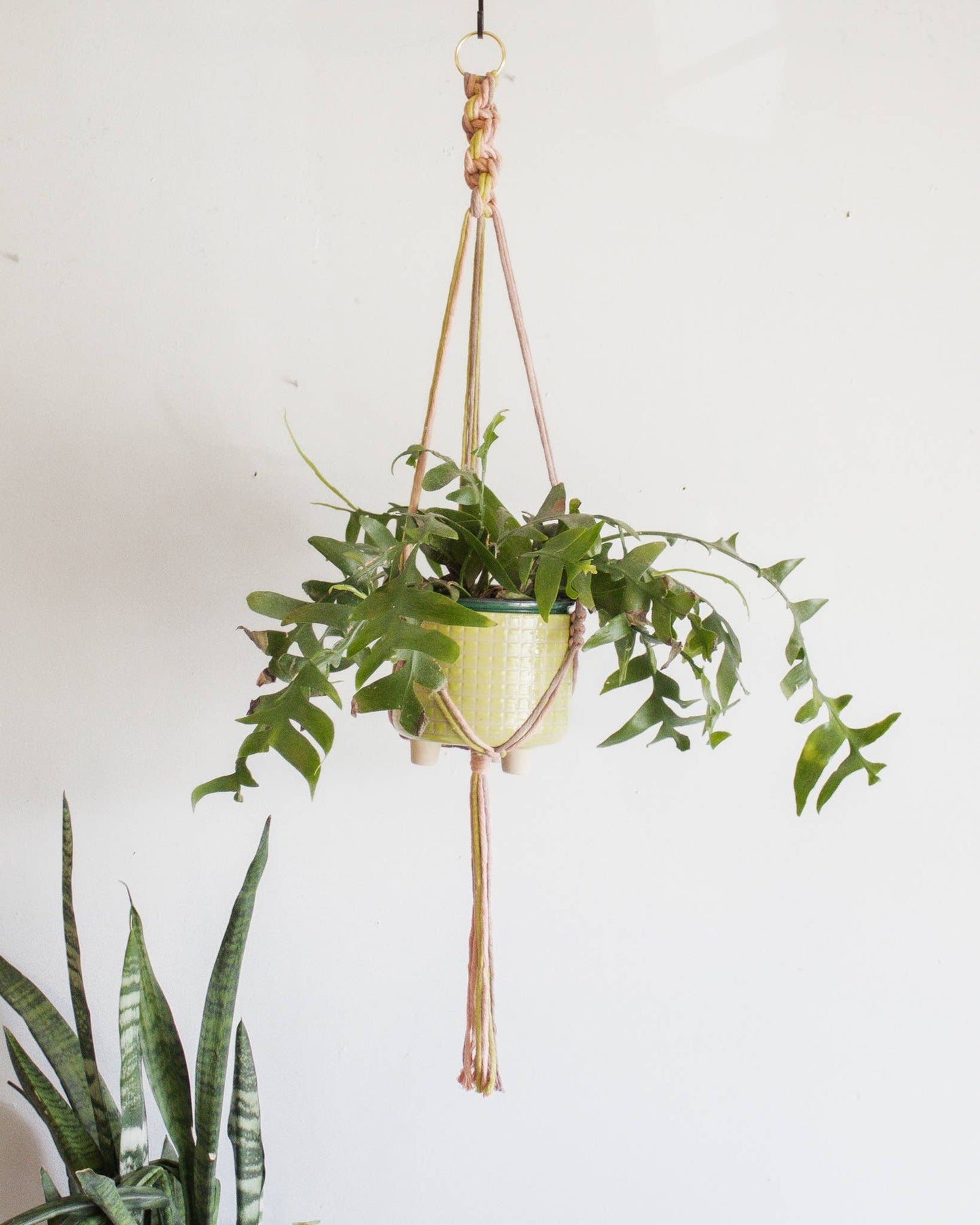 Chunky Twist Plant Hanger - Multicolor: Copper