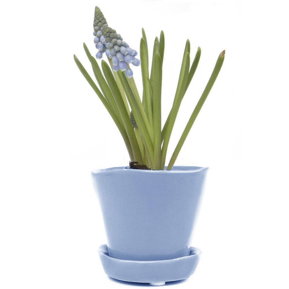 Tika Ceramic Pots and Planters With Saucer And Drainage Hole: Spruce / 5"