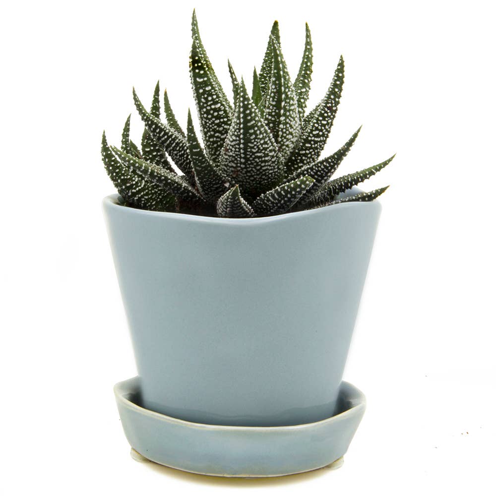 Tika Ceramic Pots and Planters With Saucer And Drainage Hole: Spruce / 5"