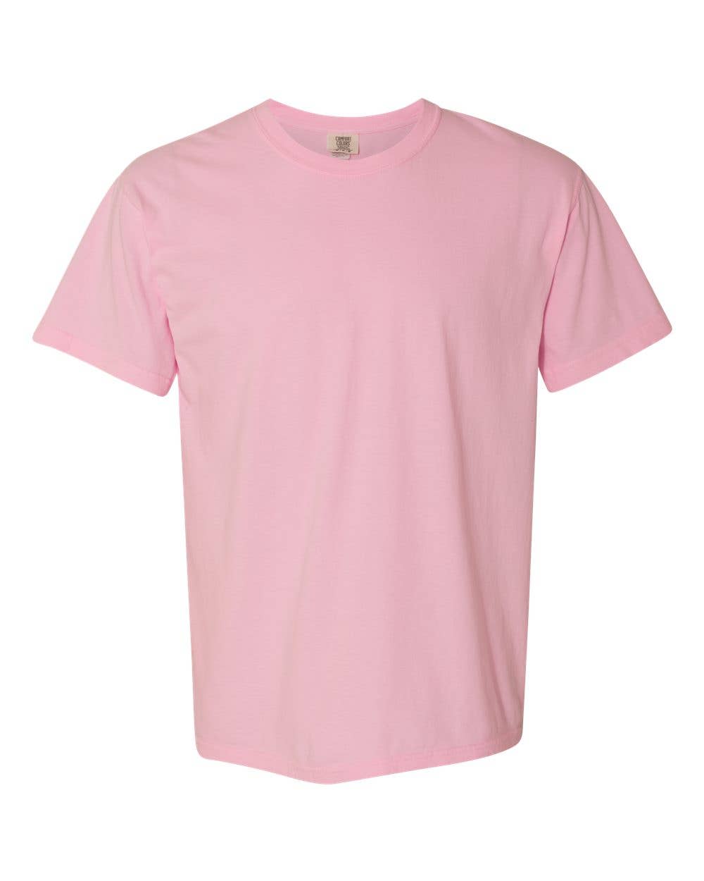Comfort Colors Shirts, Unisex Heavyweight Tees, LIGHT Colors: Bay / L
