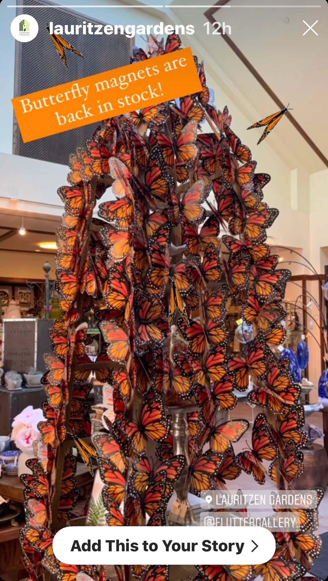 Butterfly Magnet