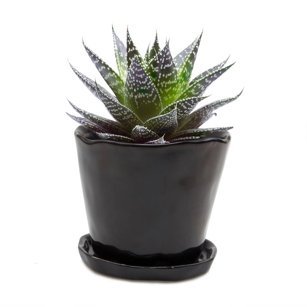 Tika Ceramic Pots and Planters With Saucer And Drainage Hole: Spruce / 5"