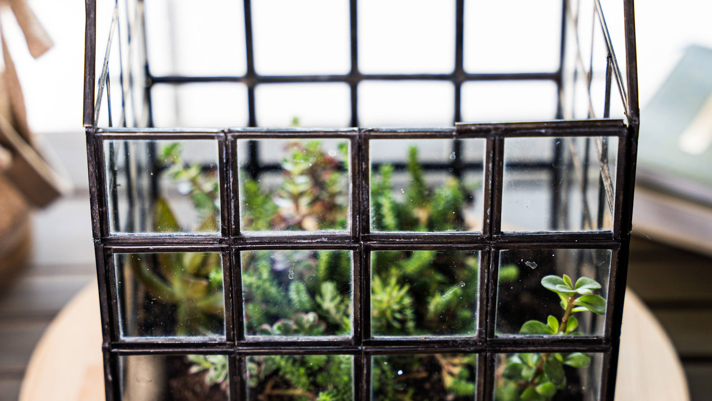 Glass Terrarium Lattice, Large, 8x8x12"